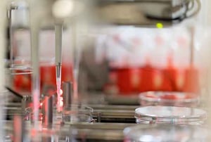 Testing Milk Samples