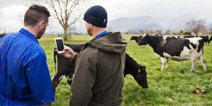 Farmers looking at a mobile device