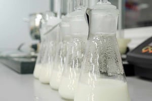 Milk in testing flask
